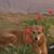 Lisa Stallings Nordmoe's profile image