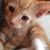 Heather Wist's profile image