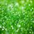 Nonella's TREE Service's profile image