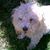 Nancy Smith's profile image
