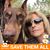 Kim Charpentier Weekly's profile image