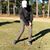 Jerold Sit's profile image