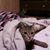 Tammy Geissinger's profile image