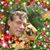 Clyde Wagers's profile image