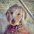 Boone Hilleary's profile image