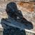Lex Passaris's profile image