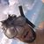 Damien Moore-Evans's profile image