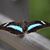 Annette L. Cotton's profile image