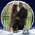 Kelly Somple's profile image