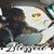 Kathy Kelley Wing's profile image
