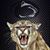 Michael Bair's profile image
