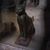 Carla Stines Bast's profile image