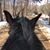 Jill O'Connor's profile image