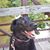 June Brown Beaudin's profile image