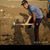 Ronit B. Bhalerao's profile image