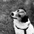 Karen Hearne Snyder's profile image