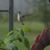 Ruthann Sterenberg's profile image