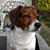 Flash P. CoalTrain's profile image