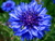 E M.'s profile image