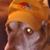 Buddy Johnson's profile image