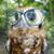 Victoria Coffman's profile image