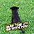 Summer Walter's profile image