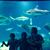 SharRon Bloxham's profile image