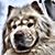 Scott Moonen's profile image