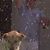 Bryan Harper's profile image