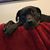 John Prodan's profile image