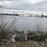 Randi Bogard's profile image