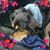 Joanne Snape's profile image