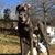 Todd Waddell's profile image