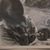 Rachel Williams Evans Satchwill-Geith's profile image