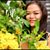 Anh Khuyen's profile image