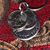 Gina Toland's profile image