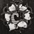 Maxey Couture's profile image
