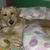 Lee Lee Buchanan's profile image