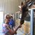 Kristie Kirkpatrick Brewer's profile image