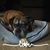 Kathy Findley's profile image