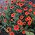 Nori Raubach's profile image