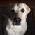 Laurel Prudhomme's profile image