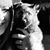 Jeanine Dunphy's profile image