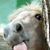 Judd Harrison's profile image