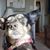 Mary Heiden's profile image