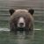 Maribeth Rowland Ward's profile image