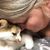 Tracy Hill's profile image