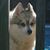 Pam Hall's profile image