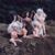 Anna R Hurwitz's profile image