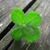 Lori Lance Pierce's profile image